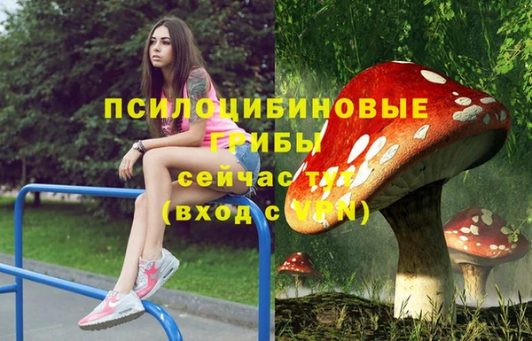 PSILOCYBIN Бугульма